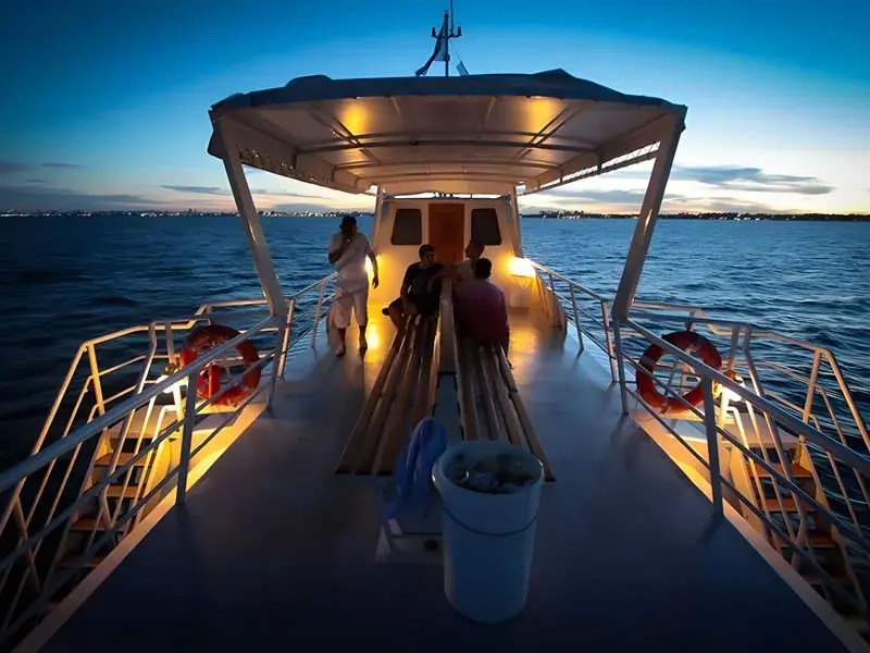 Paseo en Barco, Olivos